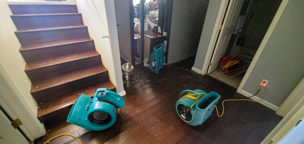 Best Mold removal after water damage  in Booneville, MS