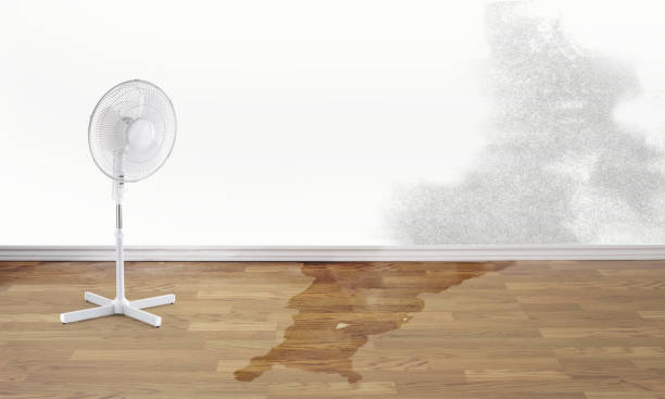 Best Flooded house restoration  in Booneville, MS