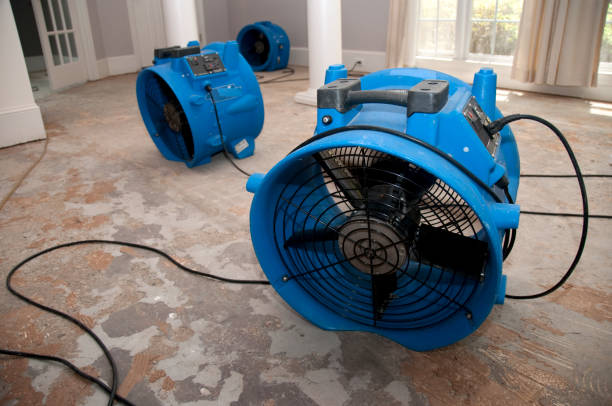 Best 24/7 water damage repair  in Booneville, MS