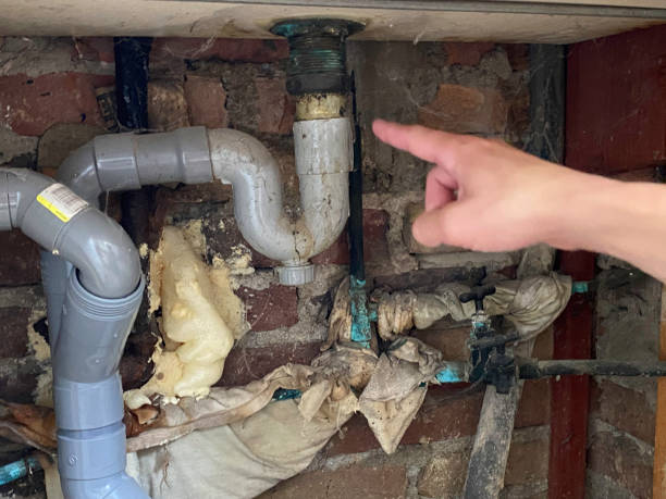 Best Basement water damage restoration  in Booneville, MS
